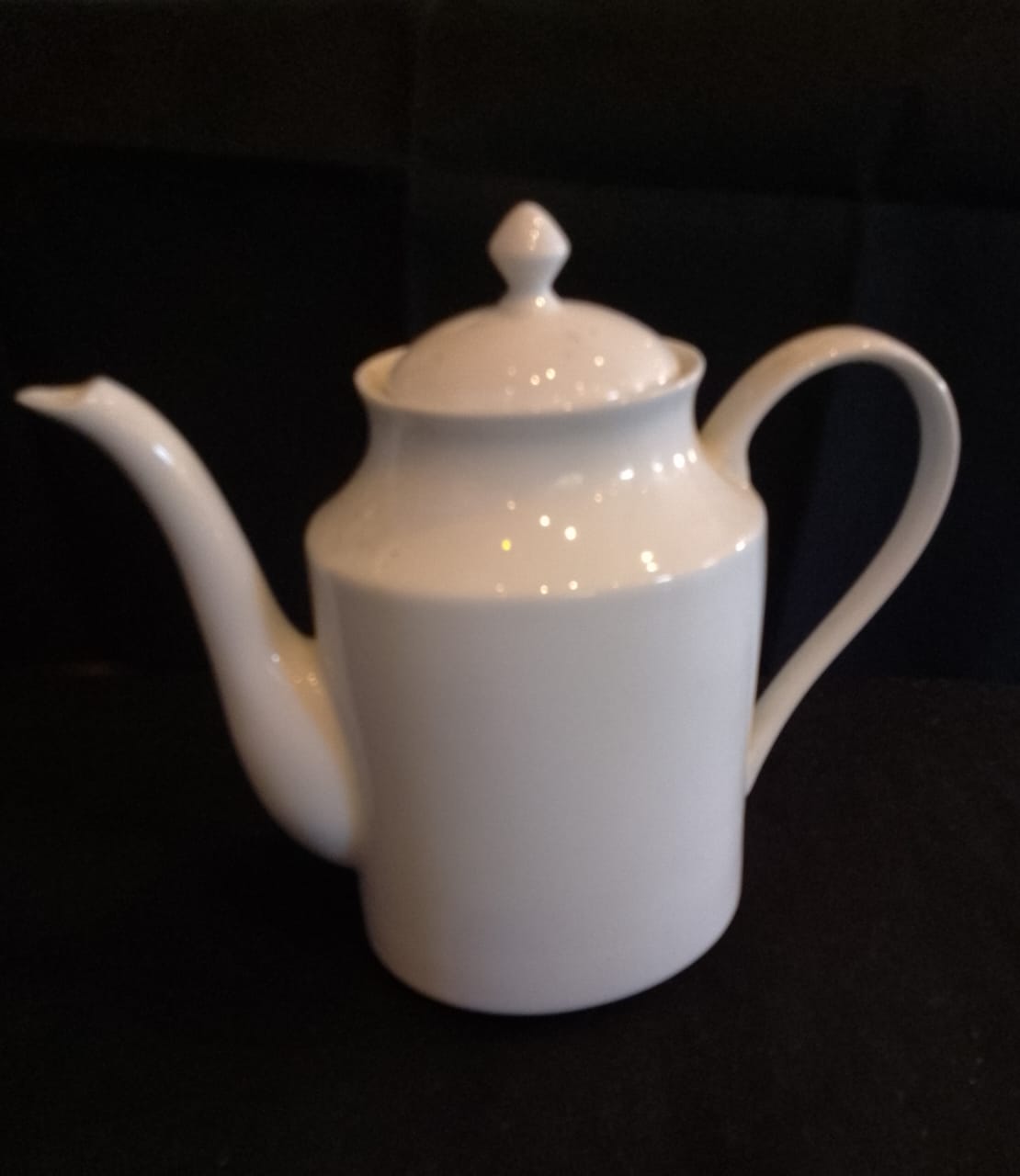 Dankotuwe Porcelain Whiteware for Hotels and Homes